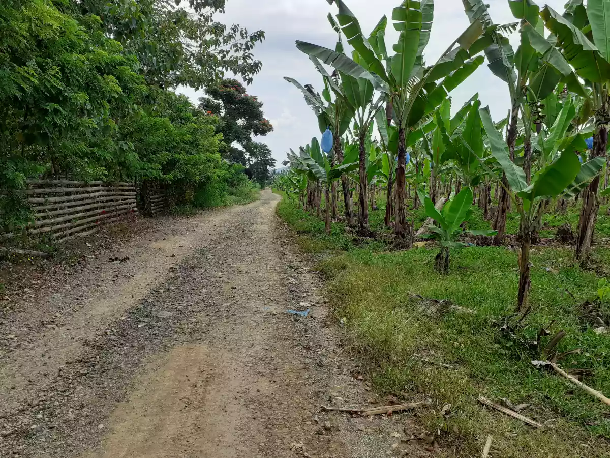 Residential lot for sale 2.5 hectares — Residential Lot in Opol, Misamis Oriental, Philippines — Photo 4