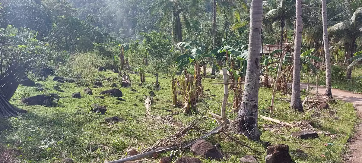 Lot for Sale — Agricultural Lot in Negros Oriental, Philippines — Photo 3