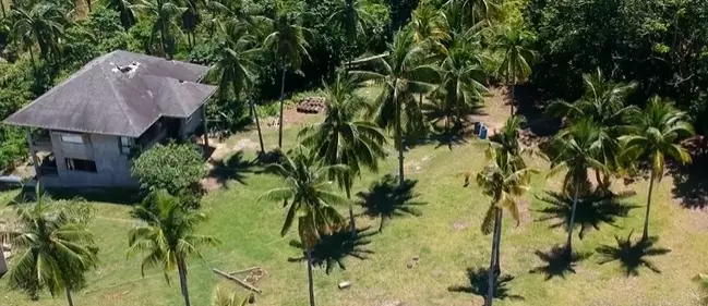 Beach Lot in Tabogon Cebu (Ideal for Resort) - photo 4