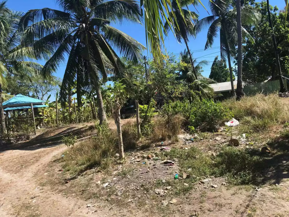 406 SQM IN NAGA CEBU - photo 5