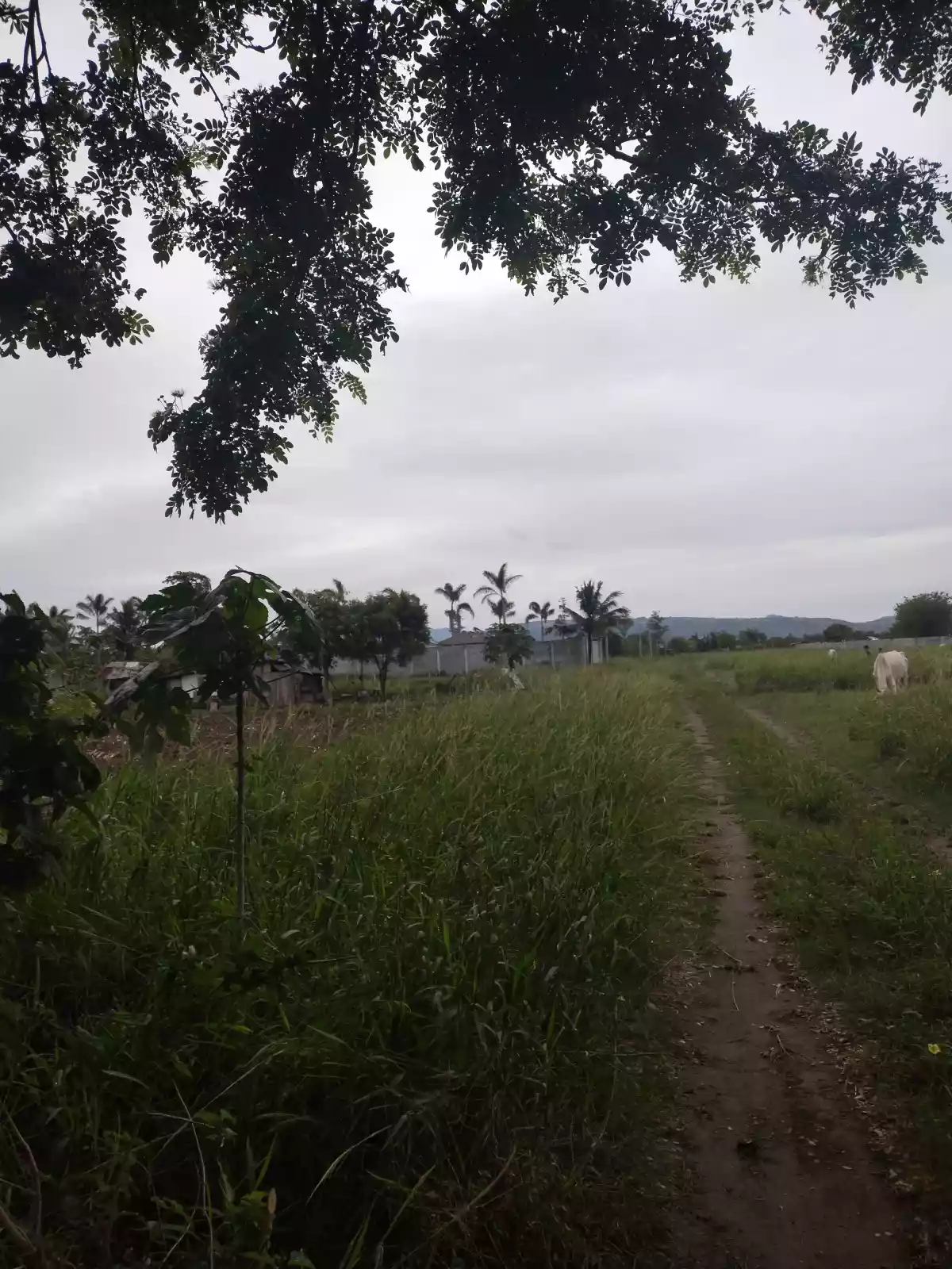 1 hectare ideal for Warehouse — Industrial Lot in General Santos City, South Cotabato, Philippines — Photo 7