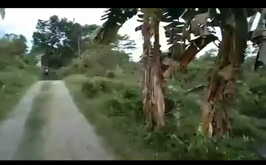 Gaboc, Tagbilaran City - photo 5