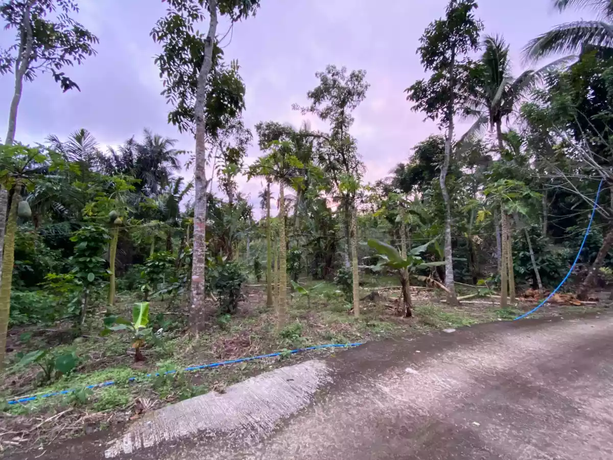 Tagaytay Silang HOT lot - photo 4