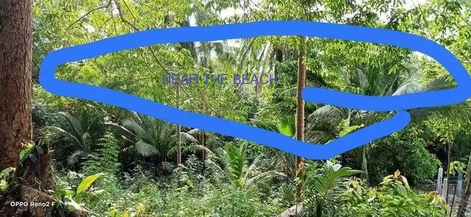 Rush Sale!!!  From 8.6M+ down to 8.1M Lot for sale in Puerto Princesa, Palawan Lot area: 1,334sqm 6,500/ sqm (negotiable)