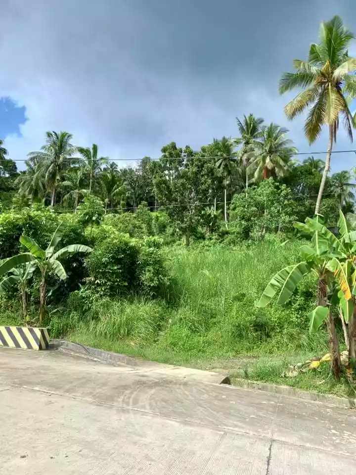 Residential lot along the road - photo 6