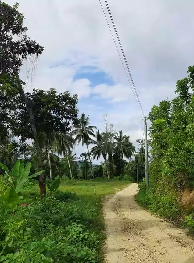 9000 SQM IN SAN FERNANDO CEBU - photo 4