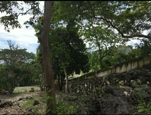 Seawall Lot FOR SALE!! - photo 3