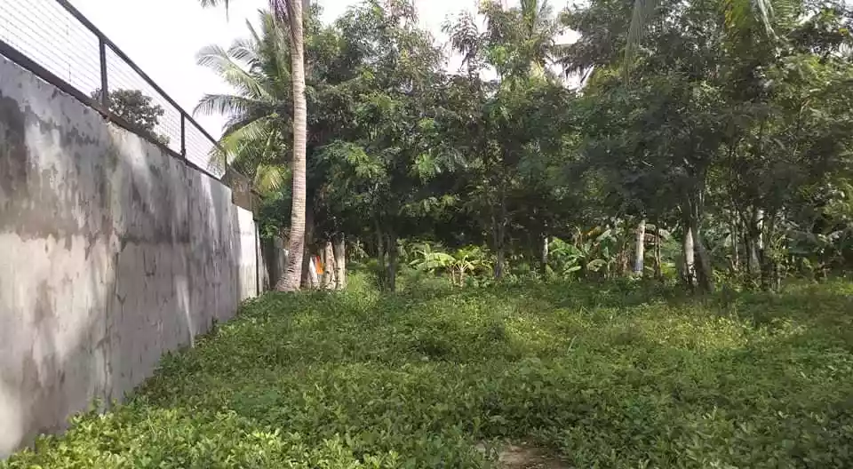 Beach lot  - photo 5