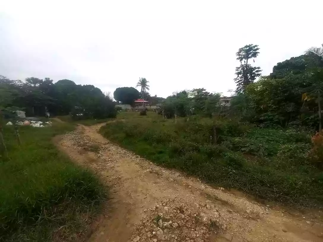 Yes,  Titled lot - photo 4