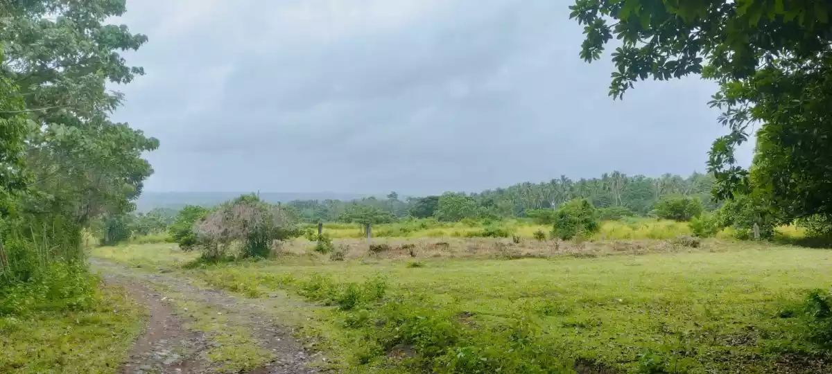 Residential Land along the National Highway — Residential Lot in Calinan District, Davao City, Davao del Sur — Photo 3