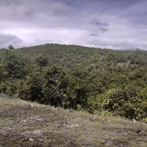 LOT for sale — Residential Lot in Boljoon, Cebu, Philippines — Photo 4