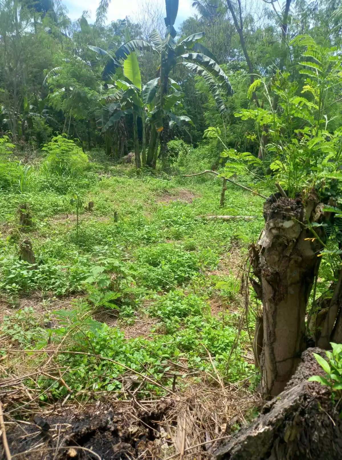 147sqm Lot Only near UST Campus Gensan. — Residential Lot in Pan-Philippine Highway, General Santos City, South Cotabato — Photo 6