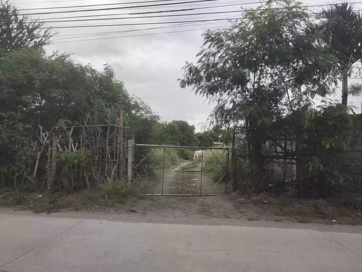 Commercial Lot Along Salvani Street and Mabuhay Road