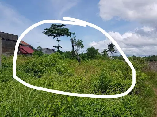 Commercial Lot For Sale in Balamban — Commercial Lot in Balamban, Cebu, Philippines — Photo 7