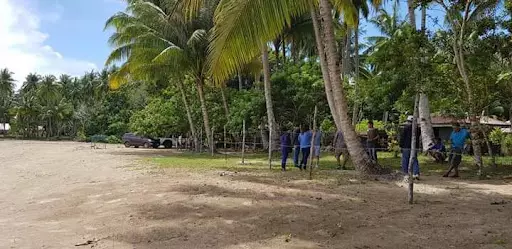 Palawan Beach lot For Sale  - photo 7