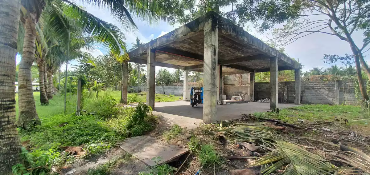 Purok 15 Road Property  - photo 4