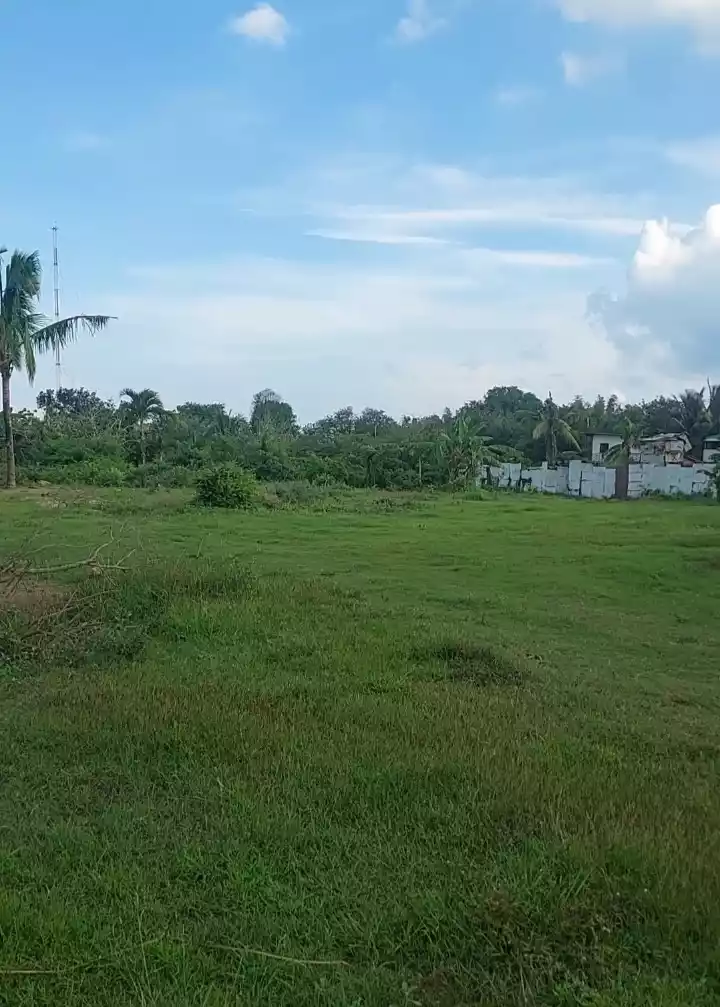 Lot along Circumferential Road Iloilo - photo 2