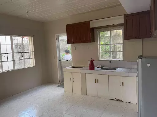 Lovely as a tree. Price is negotiable — House and Lot in Dumaguete, Negros Oriental, Philippines — Photo 7