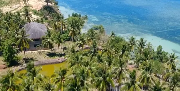 Beach Lot in Tabogon Cebu (Ideal for Resort) - photo 5