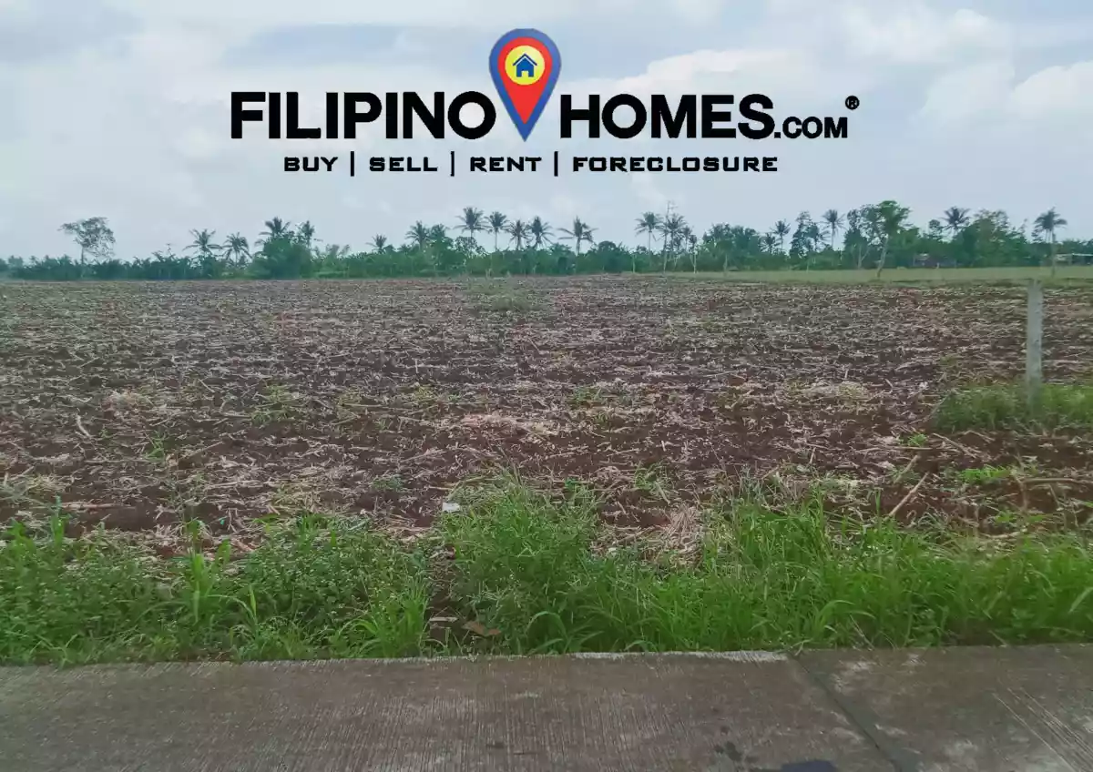 Agri Land For Sale!!! 