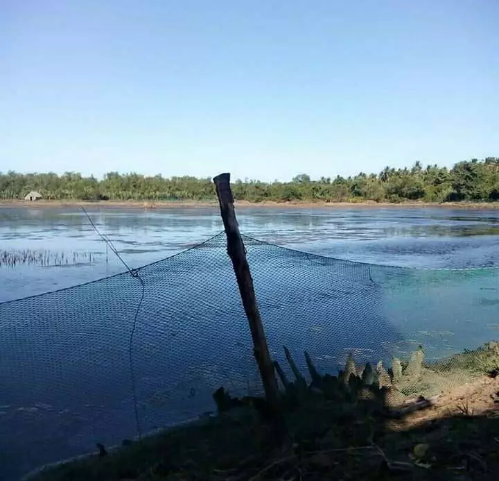 Agricultural Land with Fish Pond — Agricultural Lot in Narra, Palawan, Philippines — Photo 5
