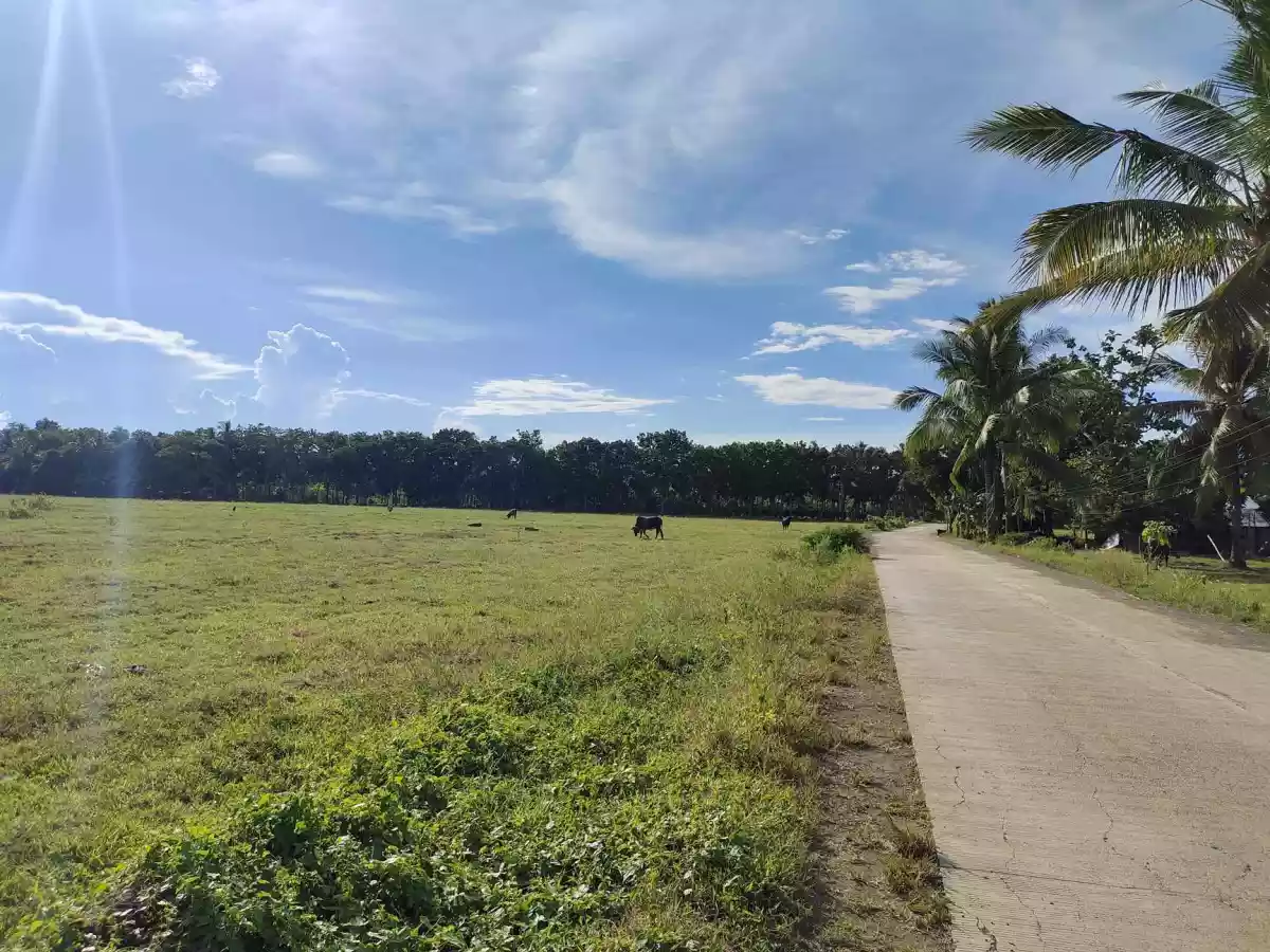 Open photo 11 of 13 — Lot for Sale in Tuburan, Cebu