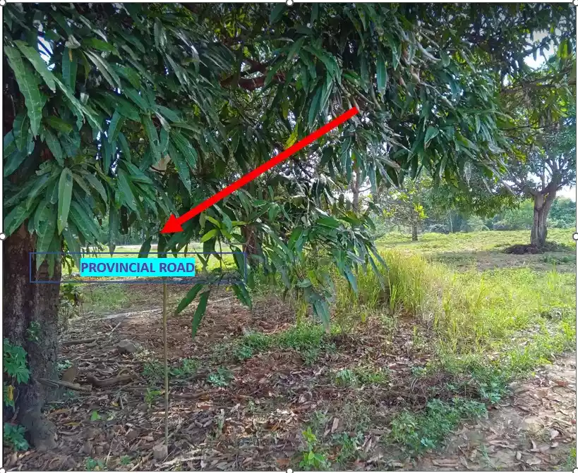 RUSH SALE AFFORDABLE SUBDIVIDED LOTS IN NARRA, PALAWAN NEAR PUERTO PRINCESA CITY - photo 2