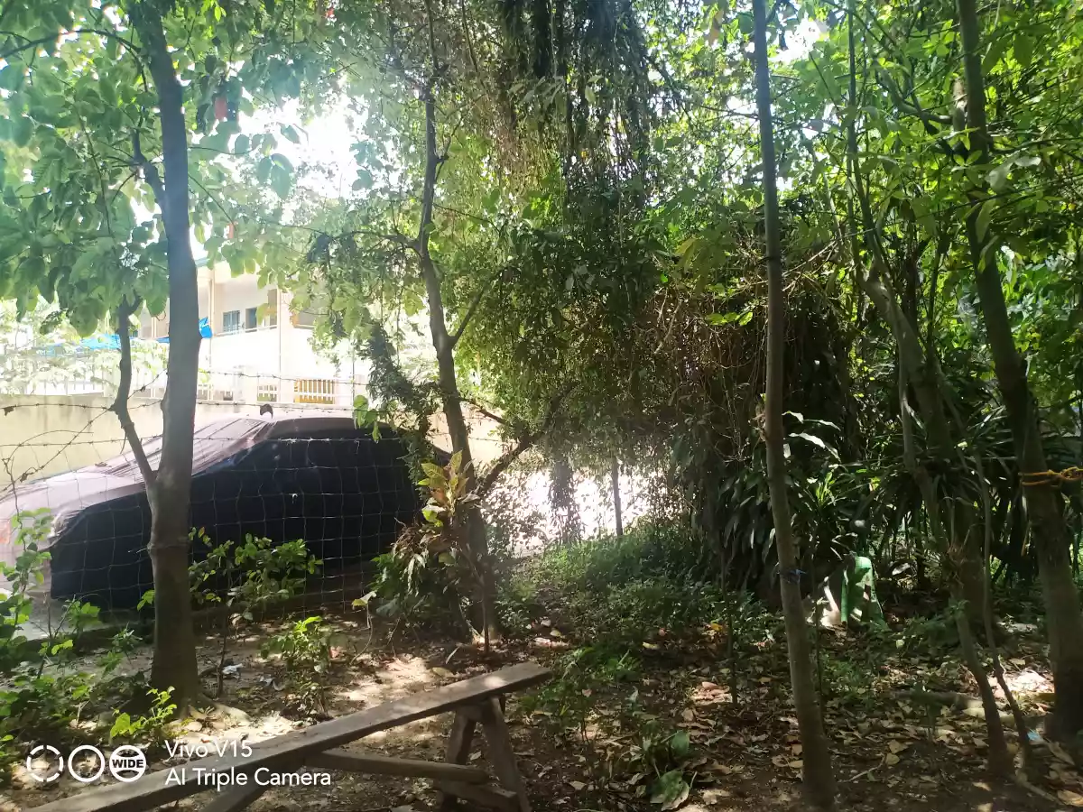 COMMERCIAL/RESIDENTIAL LOT FOR SALE IN SOUTH POBLACION, CITY OF NAGA, CEBU - photo 4