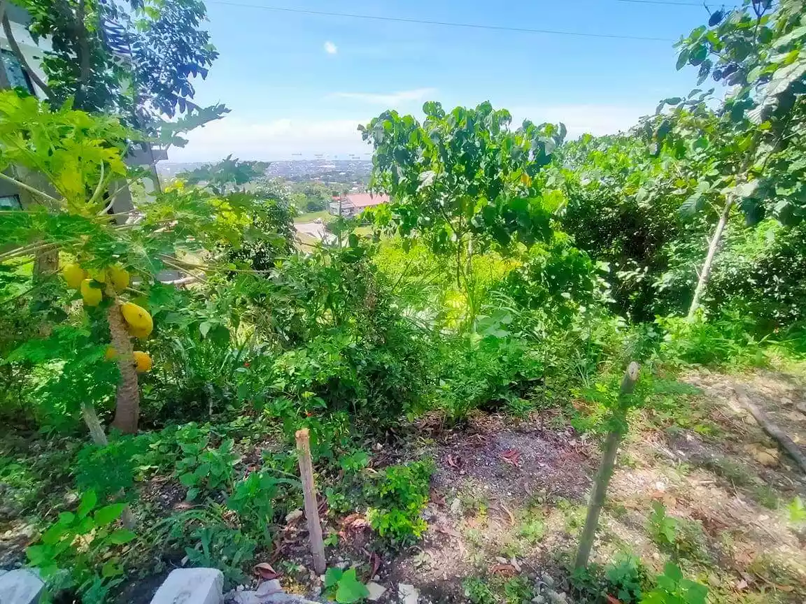 LOT for SALE in VISTA GRANDE, Bulacao — Residential Lot in Bienvinido St, Talisay, Cebu — Photo 5
