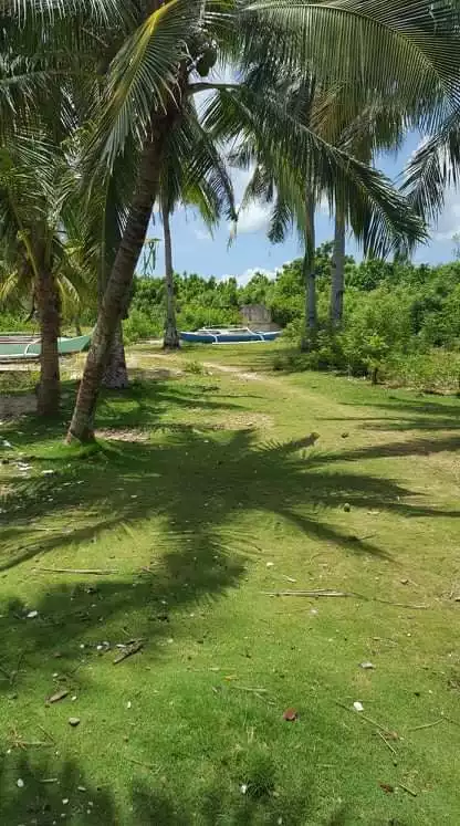 Beachlot for sale - photo 4