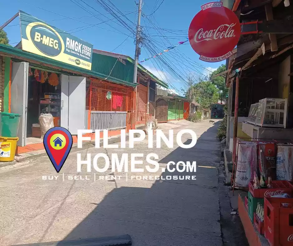 For sale Farm/Residential with commercial Space in Siain Plaridel Quezon Clean Title, ideal for Residential, Apartment, Space Rental — Space in Plaridel, Quezon, Philippines — Photo 3