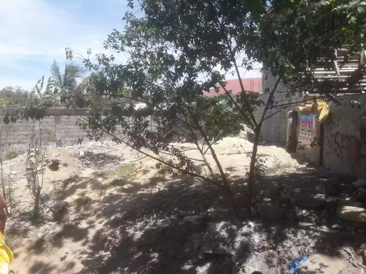 LOT — Residential Lot in Cebu, Philippines — Photo 2