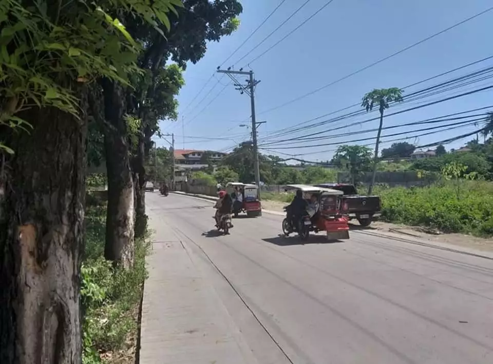 FOR SALE: 1.2HA Lot in Pagsabungan Mandaue - photo 5