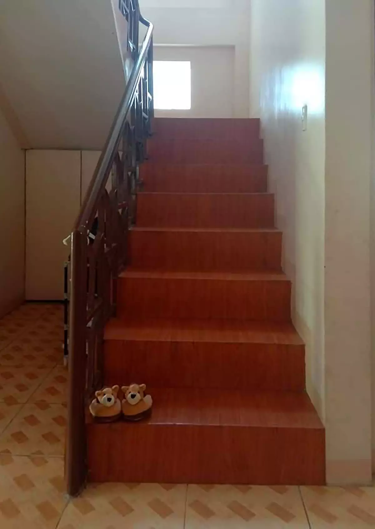 _HOUSE AND LOT for SALE!  Cogon Dumanjug, Cebu....Lot Area: 755 sqm. Ready for Occupancy! - photo 3