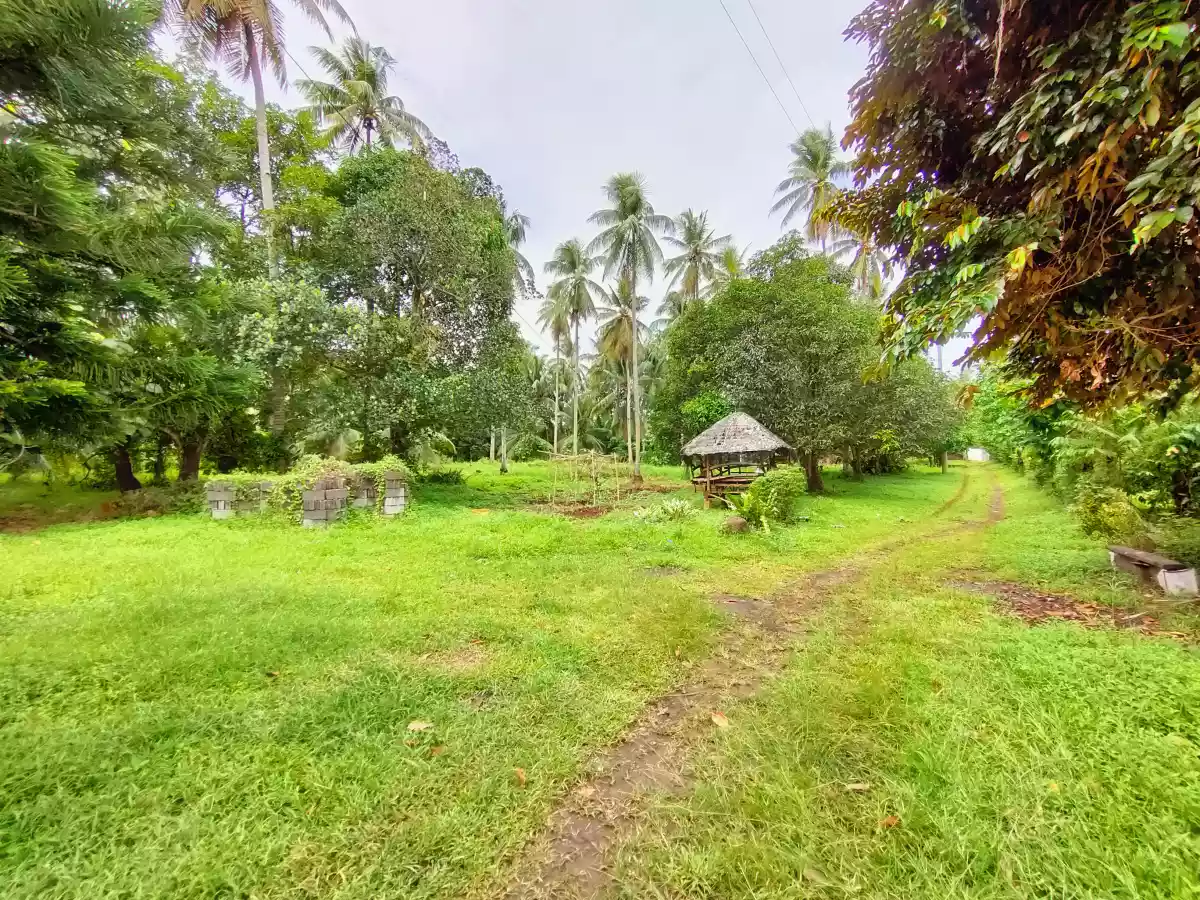 TORIL 1.86HAS FARM LOT WITH PIGGERY FOR SALE