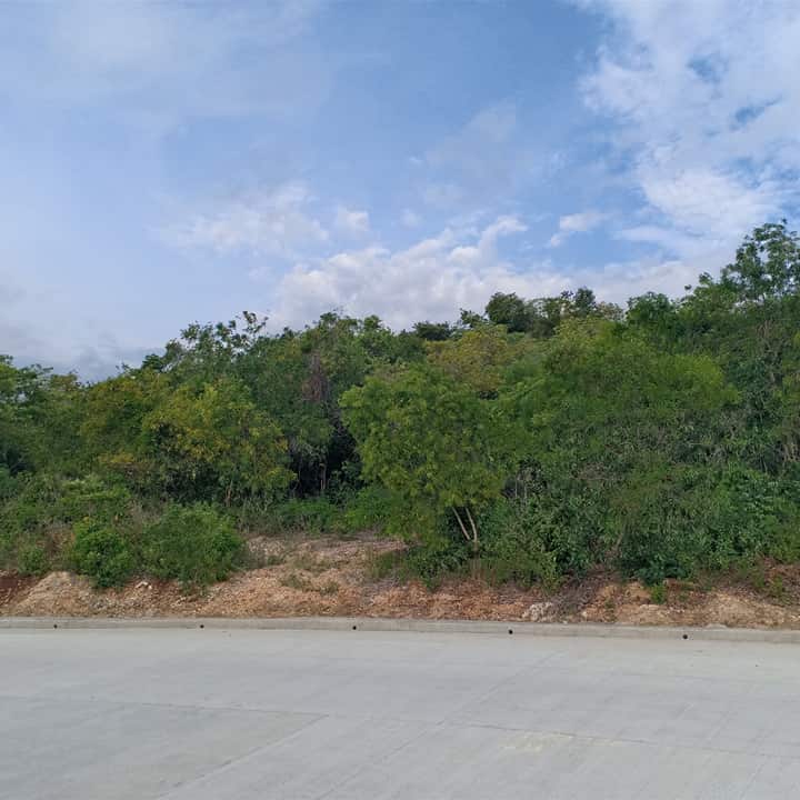 Open photo 11 of 12 — Lot For Sale Luyang, Siquijor
