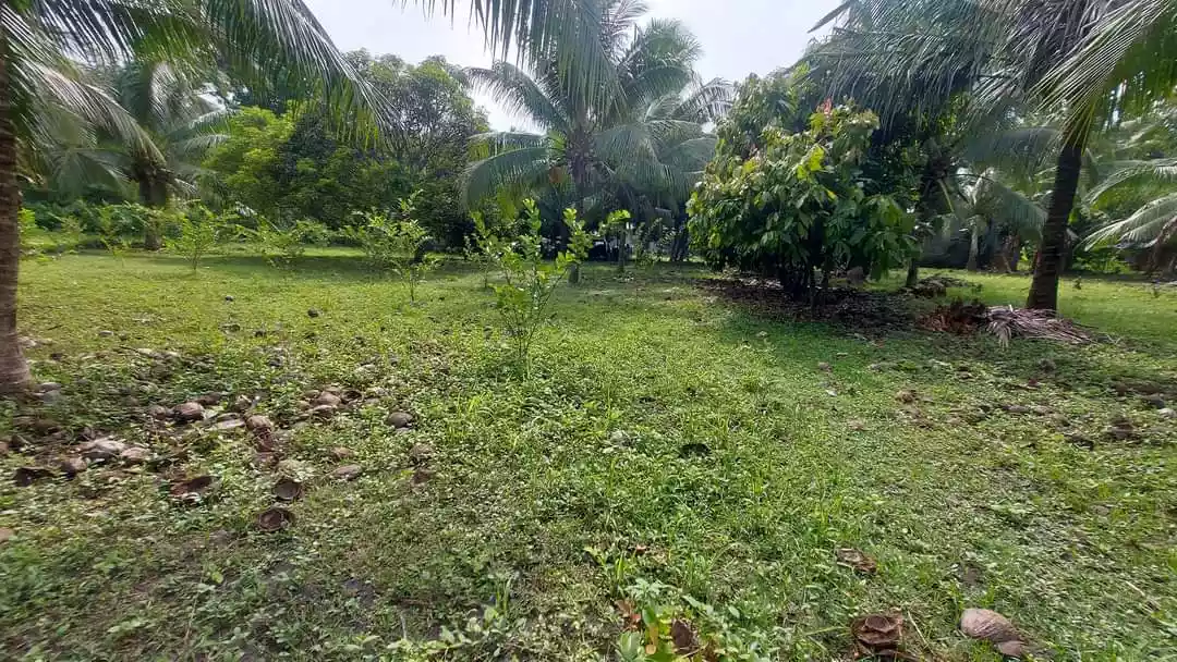 1 hectare Farm for Sale in General Santos City - photo 3