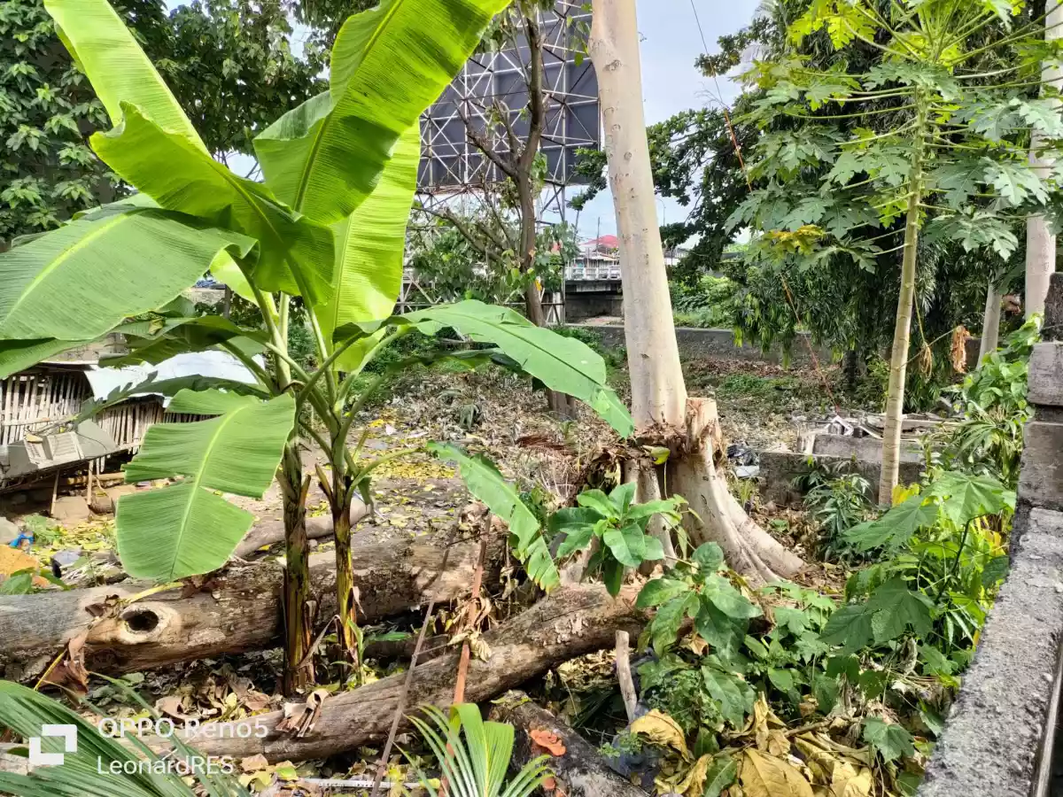 Commercial Property for Sale near downtown Dumaguete City — Commercial Lot in Dumaguete, Negros Oriental, Philippines — Photo 6
