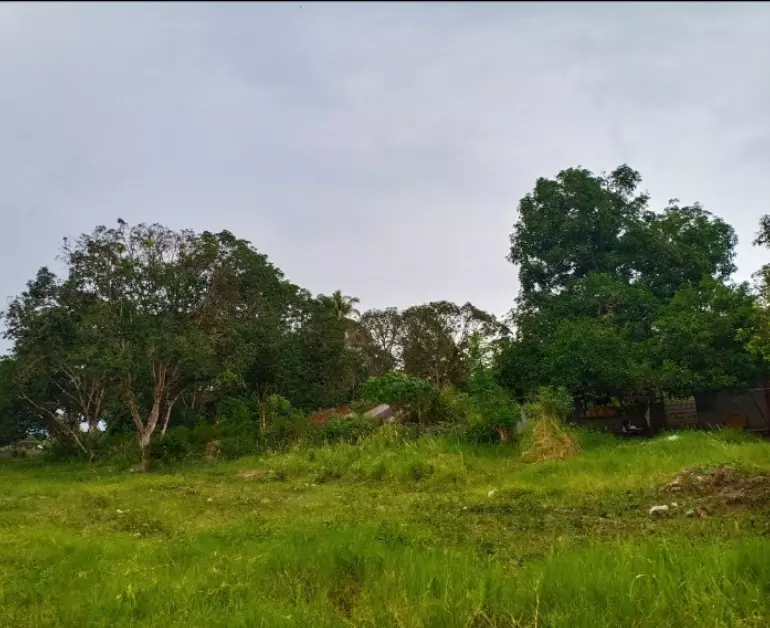 59,665 Square Meters Land for Sale in General Santos City - photo 3