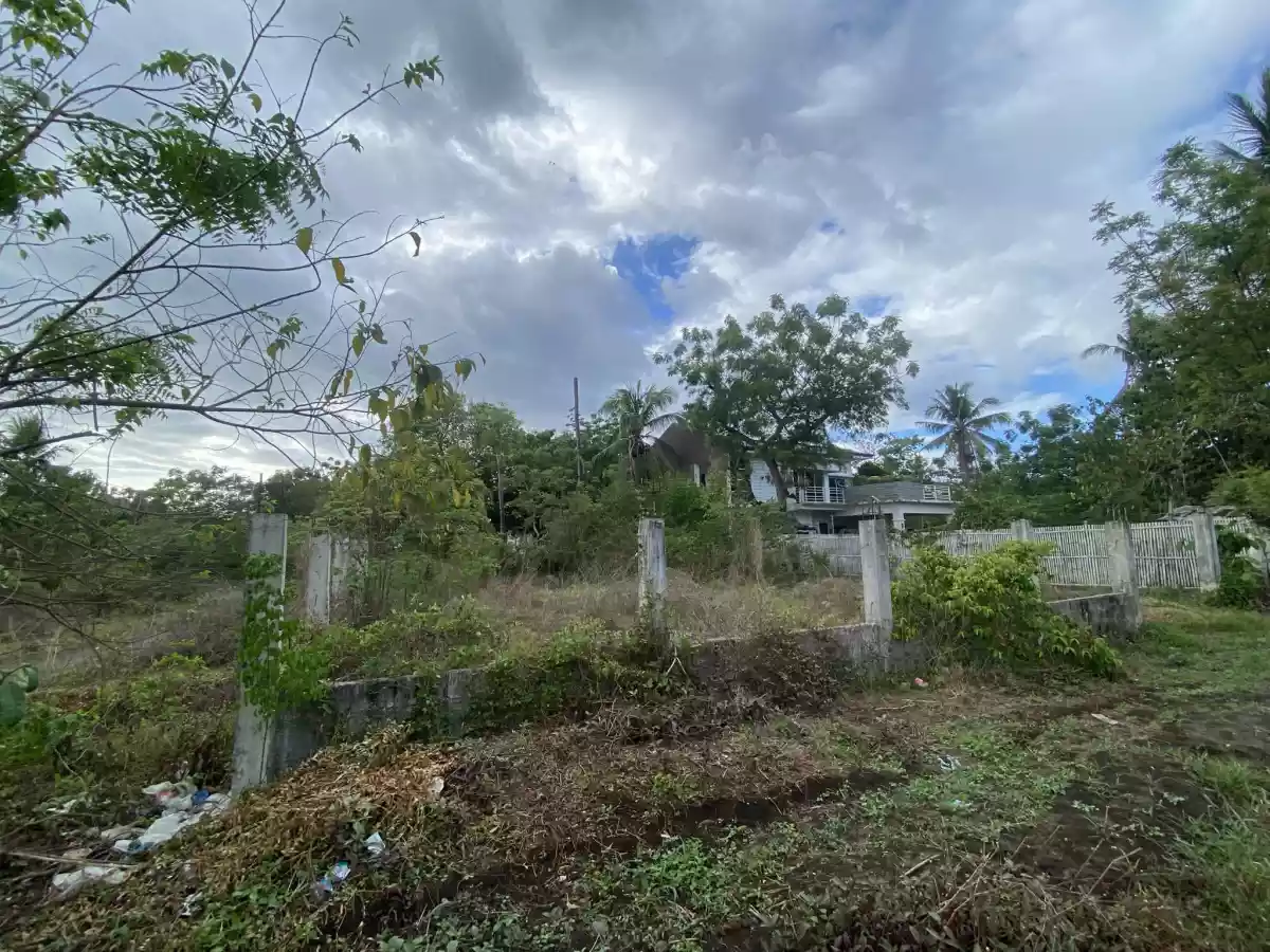 Residential Lot in Funda-Dalippe, San Jode De Beunavista, Antique — Residential Lot in San Jose de Buenavista, Antique, Philippines — Photo 6