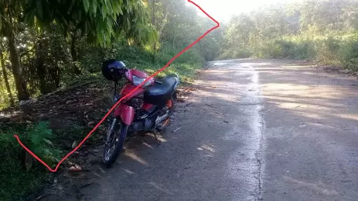 Farm lot for sale in Lamesa, Balamban - photo 6