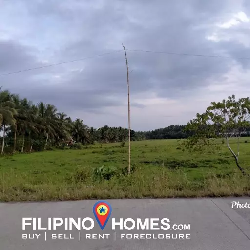 Agricultural lot