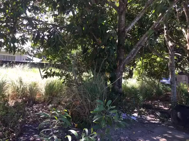 LOT ONLY FOR SALE  - photo 2