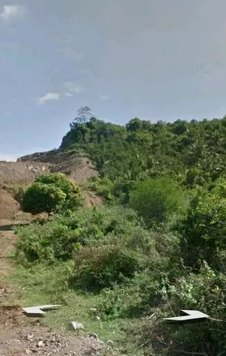 San Juan 134has — Agricultural Lot in San Juan, Batangas, Philippines — Photo 6