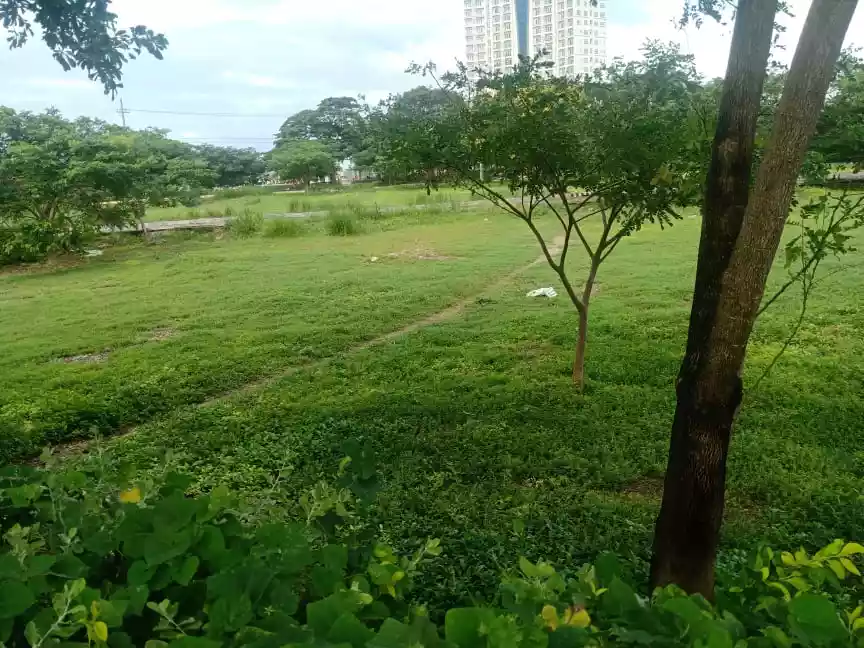 Rush Sale  lot only at Discovery Bay Residences/ beach front