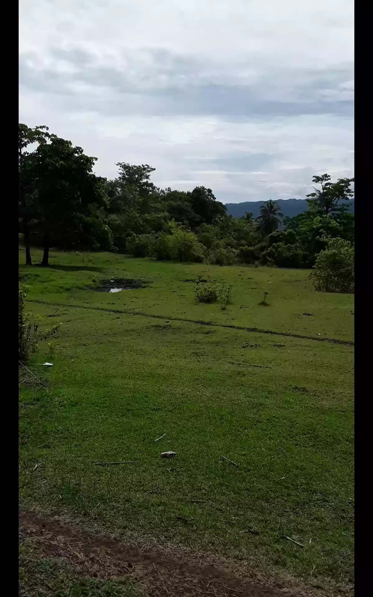 lot only for sale — Residential Lot in Bohol, Philippines — Photo 3