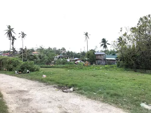 Lot for Sale in Looc Danao City — Agricultural Lot in Highway, Danao City, Cebu — Photo 3