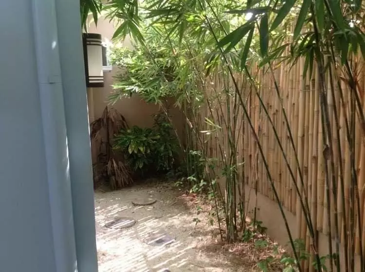 Spacious 4bedroom House for Rent in Lapu Lapu City - photo 2