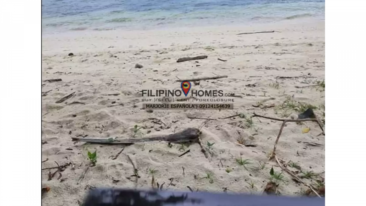 BEACH LOT FOR SALE (GLAN) — Beach Lot in Sarangani, Philippines — Photo 4