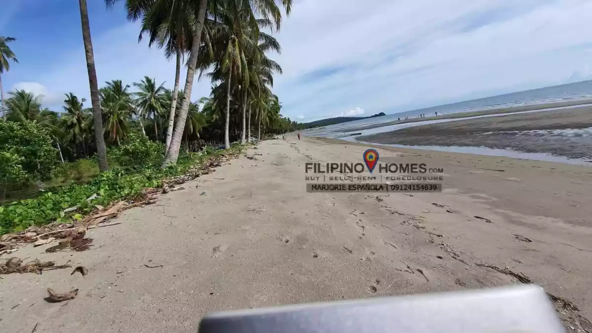 21 Hectares Beach for Sale  at Cablalan, Glan — Beach Lot in Sarangani, Philippines — Photo 7